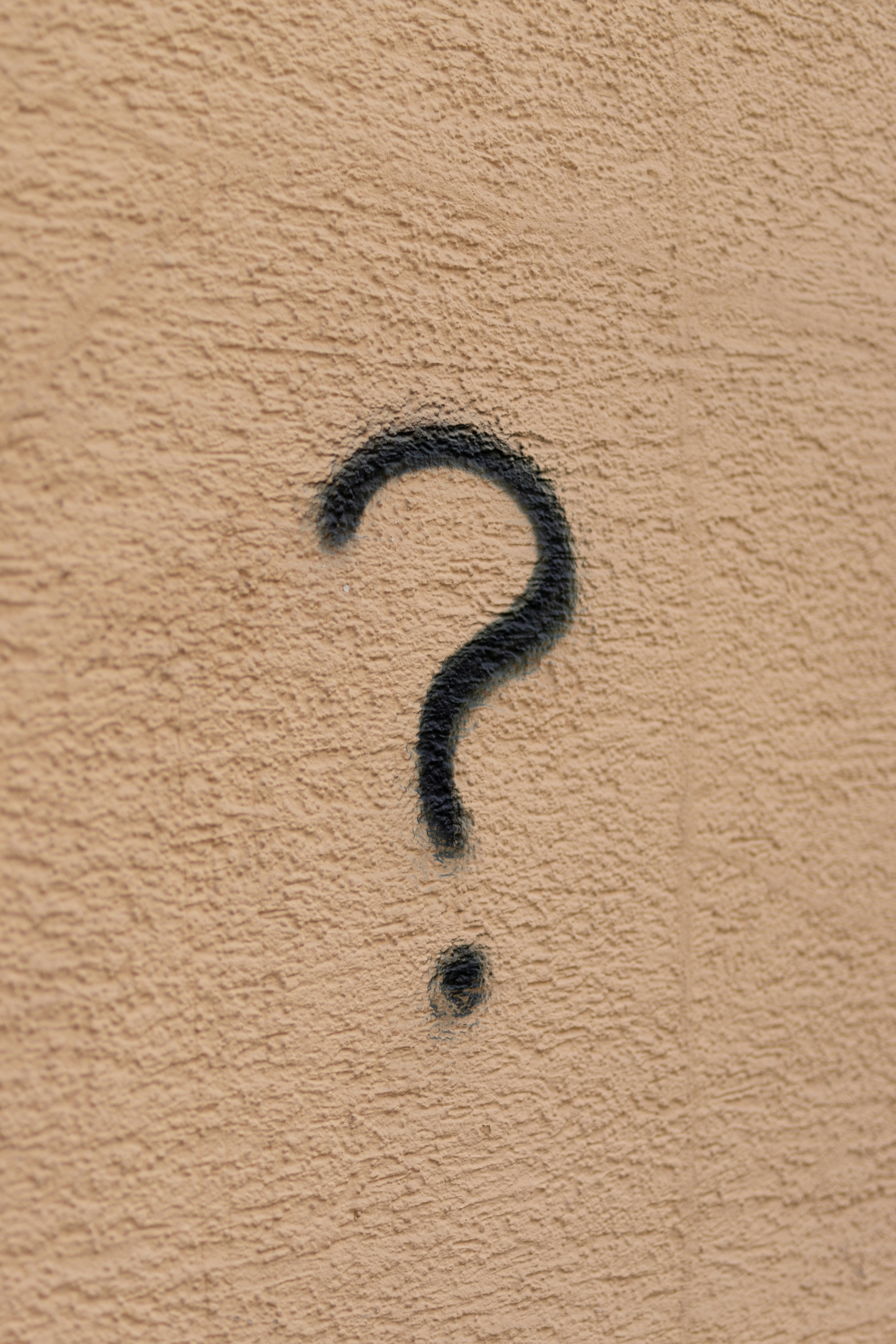 Illustration du jeu Summer Quiz